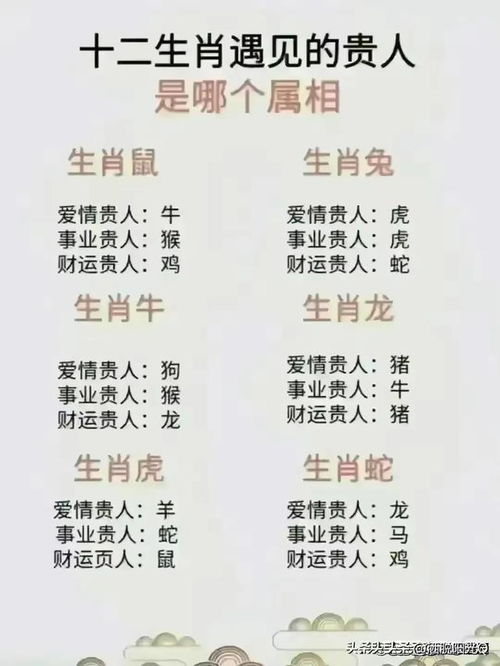 12生肖最佳夫妻配对